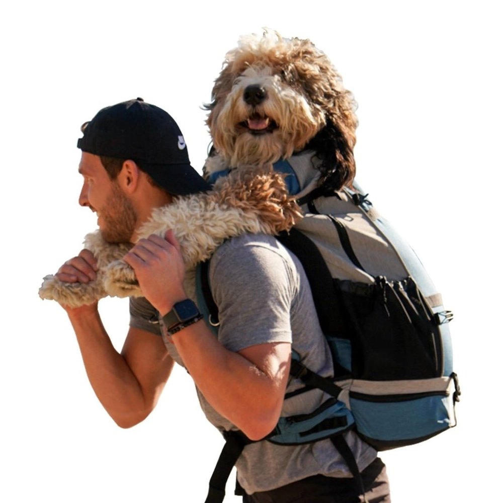 K9 Sport Sack Rover Dog Carrier Backpack